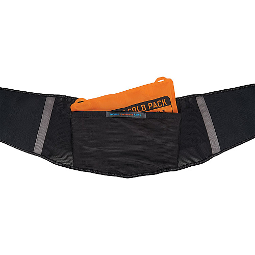 ergodyne Proflex 1675 Back Support Brace with Cooling/Warming Pack, 3X-Large, 46" to 52" Waist, Black (11125)