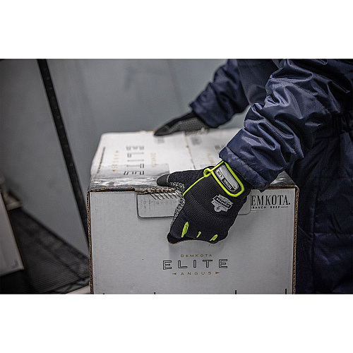 ergodyne ProFlex 850 Insulated Freezer Gloves, Black, 2X-Large, Pair (18156)