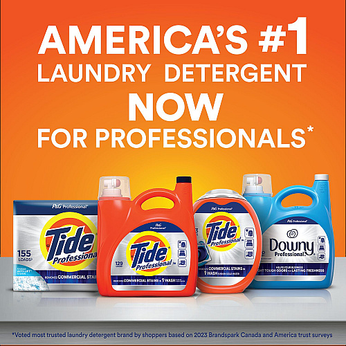 Tide&reg; Professional Powder Laundry Detergent, 197 oz Box (14120)