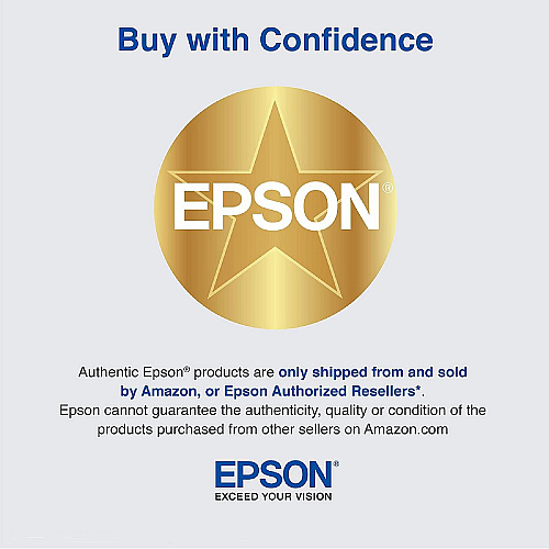 Epson C13T43R300 SureColor F Series Garment Pretreatment Fluid