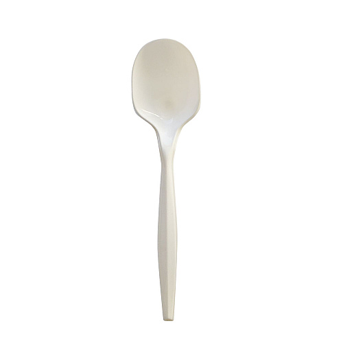 Boardwalk Mediumweight Polypropylene Cutlery, Teaspoon, White, 1,000/Carton (BWKSPOONPPMW)
