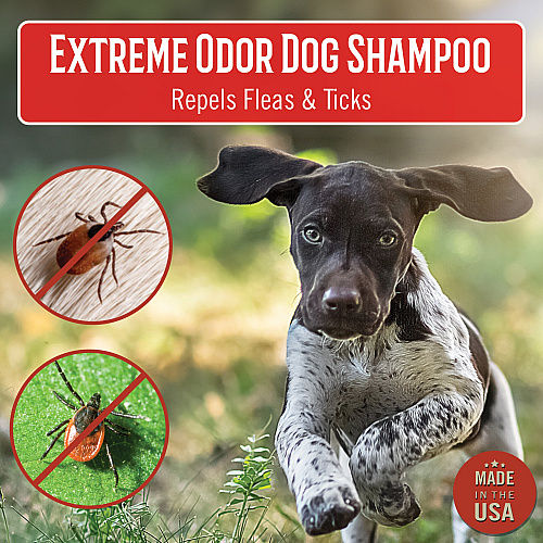 Mossy Oak Xtreme Odor Dog Shampoo, Original - 16 Oz Bottle (MO-00611)