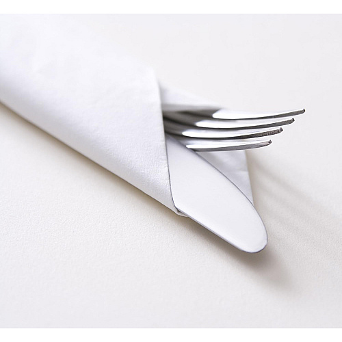 Saniworks Topline Linen Replacement Napkin, Drc, White, 14"x14", Light Duty, Flat, 1000/cs, Case Of 1000 (N-LRVDFBW2)