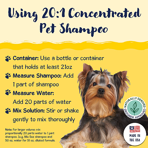 Bobbi Panter Signature Dazzling Dog Shampoo (13 Oz) Argan Oil, Vitamin A, Geranium And Chamomile - Case Of 12 (BP00012-CS)