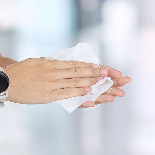 Hand Sanitizing Wipes Canister - 1 Roll (PNPWS320HS)