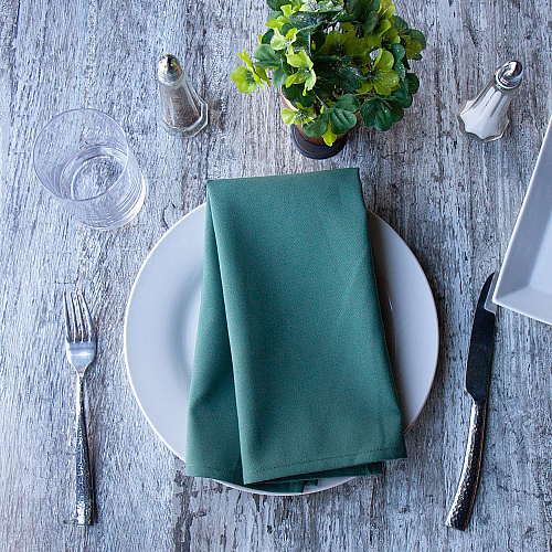 Mariposa Poly Spun Napkin 20x20 Green - Pack Of 25 (PNP-NAP-GREEN-25)