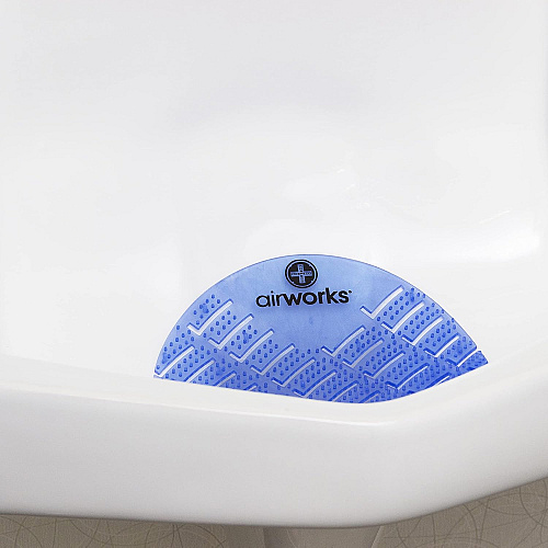 Airworks Deodorizing Urinal Screen Eucalyptus 10/box, Box Of 10 (AWUS001-BX)