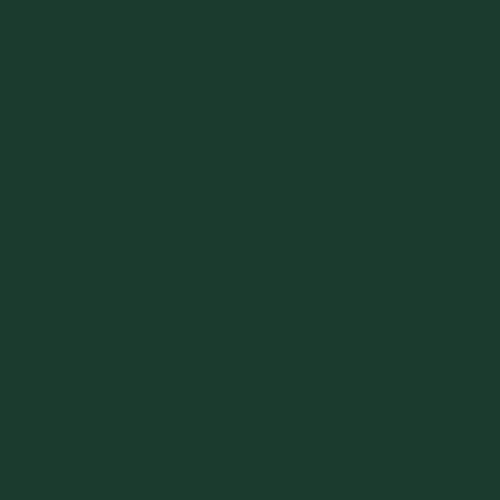 Cotton Salon Towel 16x28 Hunter Green - Case Of 144 (BB-1628-3HUN-CS)