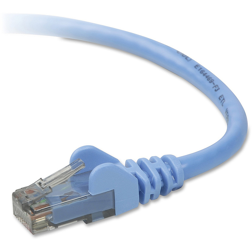 Belkin Cat6 Patch Cable 10 ft Category 6 Network Cable for Network Device, VoIP Device - First End: 1 x RJ-45 Network - Male - Second End: 1 x RJ-45 Network - Male - Patch Cable - Gold Plated Connector - 24 AWG - Blue - 1 Each (A3L98010BLUS)