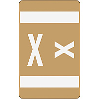 Smead AlphaZ ACCS Color-Coded Labels X - x 1" Width x 1 5/8" Length - Light Brown - Laminated - 10 / Sheet - 100 / Pack (67194)