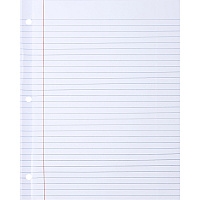 Sparco Ruled Filler Paper 100 Sheets - Wide Ruled Front Ruling - Ruled Red Margin - 20 lb Basis Weight - Letter - 8 1/2" x 11" Sheet Size - White Paper - Subject, Reinforced Edges - Recycled - 100 / Pack (WB213R)