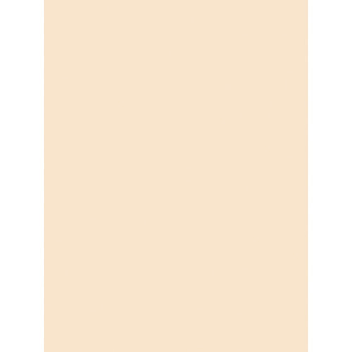 Dixon Ticonderoga Pacon Medium Weight Tagboard Paper (5190)
