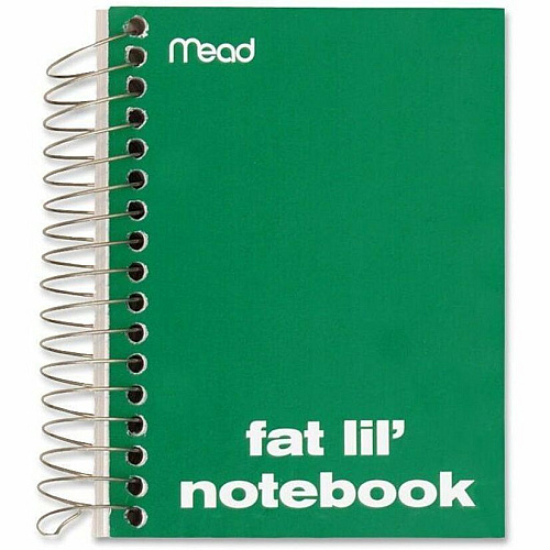Mead Fat Lil' Notebook 200 Sheets - Wire Bound - 4" x 5 1/2" Sheet Size - White Paper - Assorted Cardboard Cover - Perforated - 1 Each (45390)