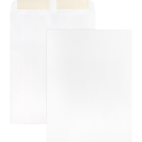 Business Source 28 lb. White Catalog Envelopes Catalog - #10 1/2 - 9" Width x 12" Length - 28 lb - Gummed - White - Wove - 250 / Box (BSN42102)