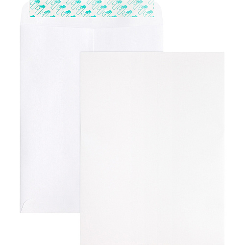 Business Source Self Sealing Catalog Envelope Catalog - 9" Width x 12" Length - 28 lb - Peel & Seal - White - Wove - 100 / Box (BSN65450)
