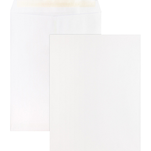 Business Source Self Sealing Catalog Envelopes Catalog - 10" Width x 13" Length - 28 lb - Peel & Seal - White - Wove - 100 / Box (BSN65451)