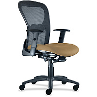 9 to 5 Seating Strata 1560 Mid Back Mesh Chair with Silver Accent Champagne Seat Color - Polyester Seat Material - Acrylic Back Material - 5-star Base - 1 Each (1560Y2A8B111)