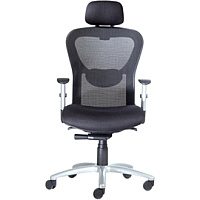 9 to 5 Seating Strata 1580 High-Back Mesh Task Chair with Headrest Champagne Seat Color - Polyester Seat Material - Acrylic Back Material - 5-star Base - 1 Each (1580Y2A8B111)