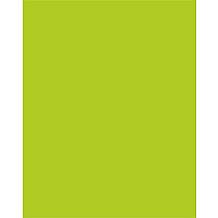 UCreate Neon Poster Board 22" Width x 28" Length - Hot Lime - 25 / Carton (54111)