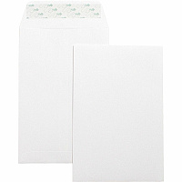 Business Source Self-Seal 6"x9" Catalog Envelopes Catalog - 6" Width x 9" Length - 28 lb - Self-sealing - White - Wove - 100 / Box (BSN42122)