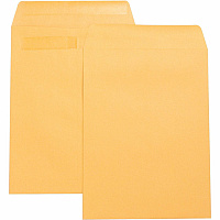 Business Source Press-To-Seal Catalog Envelopes Catalog - 9