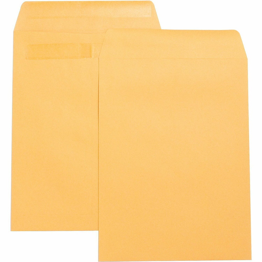 Business Source Press-To-Seal Catalog Envelopes Catalog - 9" Width x 12" Length - 28 lb - Self-sealing - Brown Kraft - Kraft - 100 / Box (BSN42123)