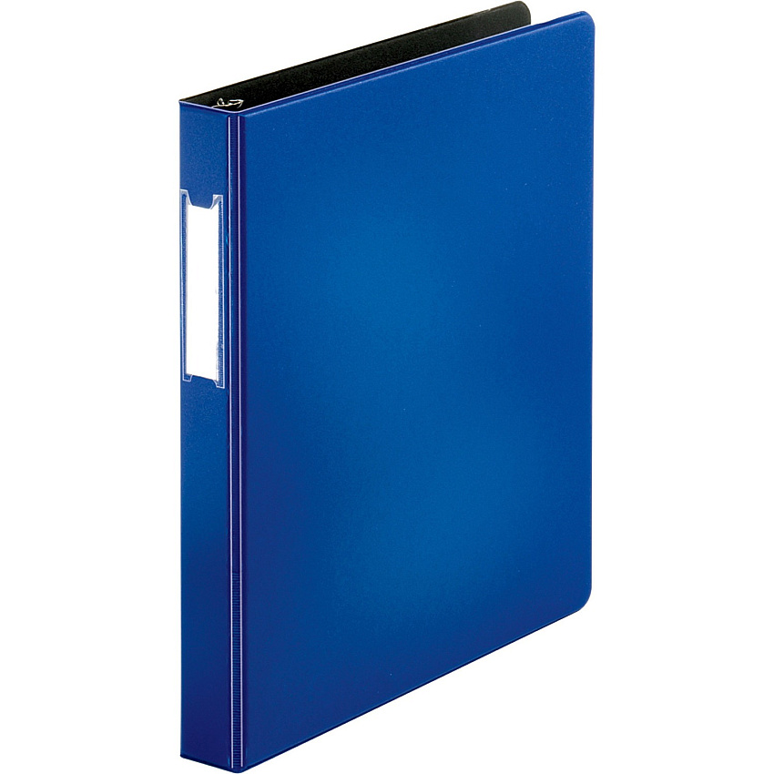 Business Source Slanted D-ring Binders 1" Binder Capacity - 3 Ring(s) - Fastener(s): D-Ring - Pocket(s): 2, Internal - Chipboard, Polypropylene - Blue - PVC-free, Non-stick, Spine Label, Gap-free Ring, Non-glare, Heavy Duty, Open and Closed Tri (BSN33107)