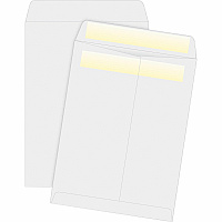 Business Source Press/Seal Catalog Envelopes Catalog - 10" Width x 13" Length - 28 lb - Self-sealing - White - 100 / Box (BSN04649)