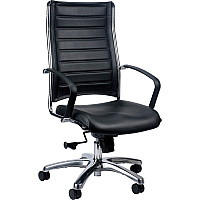 Eurotech Europa High Back Executive Chair Black Seat Color - Leather Seat Material - Black Back Color - Leather Back Material - Aluminum Frame Color - Steel Frame Material - 5-star Base - 1 Each (LE811BLK)