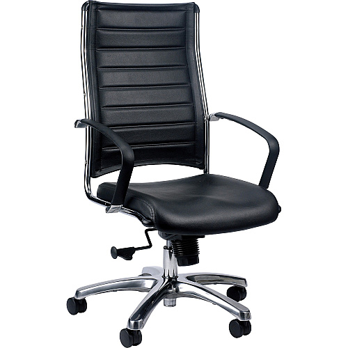 Eurotech Europa High Back Executive Chair Black Seat Color - Leather Seat Material - Black Back Color - Leather Back Material - Aluminum Frame Color - Steel Frame Material - 5-star Base - 1 Each (LE811BLK)