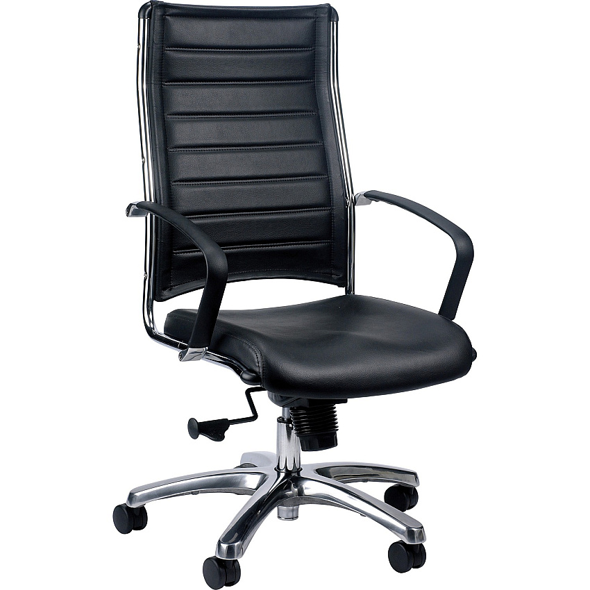 Eurotech Europa High Back Executive Chair Black Seat Color - Leather Seat Material - Black Back Color - Leather Back Material - Aluminum Frame Color - Steel Frame Material - 5-star Base - 1 Each (LE811BLK)