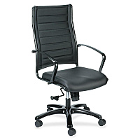 Eurotech Europa Titanium Frame Executive Chair Black Seat Color - Leather Seat Material - Black Back Color - Leather Back Material - Titanium Frame Color - 5-star Base - 1 Each (LE111TNM)