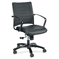 Eurotech Europa Titanium Frame Executive Chair Black Seat Color - Leather Seat Material - Black Back Color - Leather Back Material - Titanium Frame Color - 5-star Base - 1 Each (LE222TNM)
