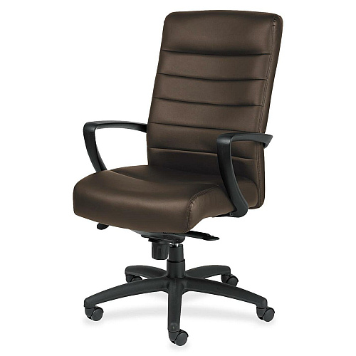Eurotech Manchester High Back Executive Chair Brown Seat Color - Leather Seat Material - Brown Back Color - Leather Back Material - Steel Frame Material - 5-star Base - 1 Each (LE150BRN)