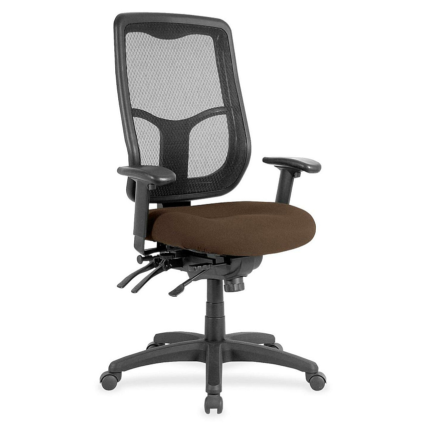 Eurotech Apollo High Back Multi-funtion Task Chair Mudslide Seat Color - Fabric Seat Material - 5-star Base - Canyon Mudslide - 1 Each (MFH9SL28)