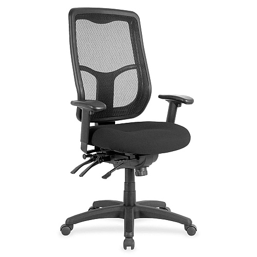 Eurotech Apollo MFHB9SL Executive Chair Tuxedo Seat Color - Fabric Seat Material - 5-star Base - Expo Tuxedo - 1 Each (MFH9SL35)