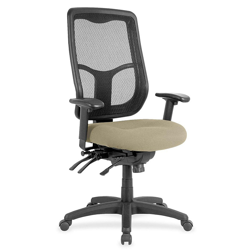 Eurotech Apollo High Back Multi-funtion Task Chair Pumice Seat Color - Fabric Seat Material - 5-star Base - Forte Pumice - 1 Each (MFH9SL45)