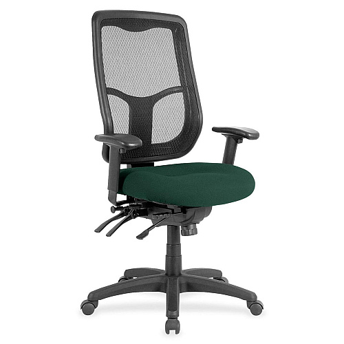 Eurotech Apollo MFHB9SL Executive Chair Forest Seat Color - Fabric Seat Material - 5-star Base - Insight Forest - 1 Each (MFH9SL50)