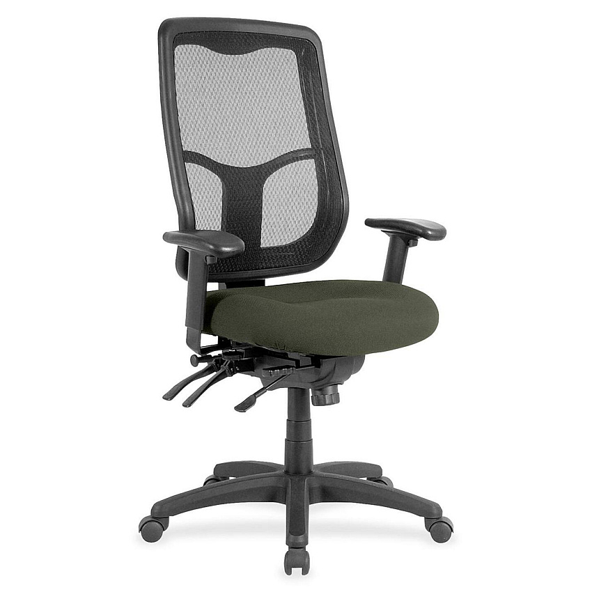 Eurotech Apollo High Back Multi-funtion Task Chair Olive Green Seat Color - Fabric Seat Material - 5-star Base - Perfection Olive Green - 1 Each (MFH9SL67)
