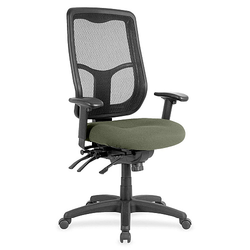 Eurotech Apollo High Back Multi-funtion Task Chair Sage Seat Color - Fabric Seat Material - 5-star Base - Shire Sage - 1 Each (MFH9SL85)