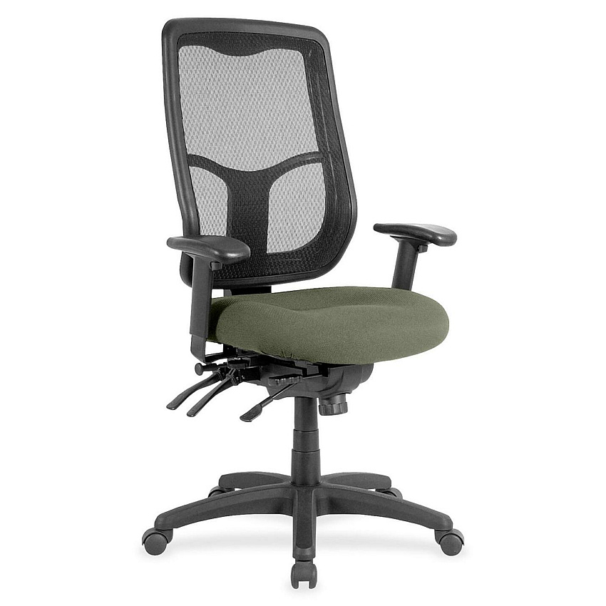 Eurotech Apollo High Back Multi-funtion Task Chair Sage Seat Color - Fabric Seat Material - 5-star Base - Shire Sage - 1 Each (MFH9SL85)