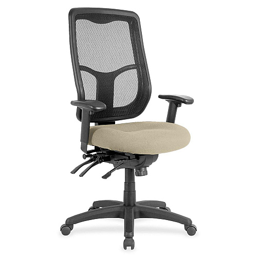 Eurotech Apollo MFHB9SL Executive Chair Travertine Seat Color - Fabric Seat Material - 5-star Base - Shire Travertine - 1 Each (MFH9SL87)