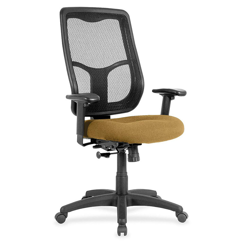 Eurotech Apollo High Back Synchro Task Chair Nugget Seat Color - Fabric Seat Material - 5-star Base - Canyon Nugget - 1 Each (MTHB9429)