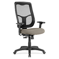 Eurotech Apollo High Back Synchro Task Chair Fossil Seat Color - Fabric Seat Material - 5-star Base - Insight Fossil - 1 Each (MTHB9451)