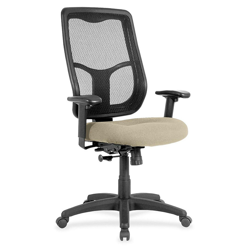 Eurotech Apollo MTHB94 Executive Chair Travertine Seat Color - Fabric Seat Material - 5-star Base - Shire Travertine - 1 Each (MTHB9487)