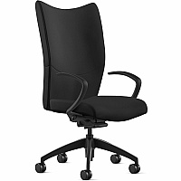 9 to 5 Seating Fabric High-Back Conference & Management Black Seat Color - Top Grain Leather Seat Material - Black Back Color - Top Grain Leather Back Material - High Back - 5-star Base - 1 Each (2380Y2A10L31)