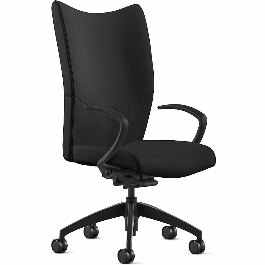9 to 5 Seating Fabric High-Back Conference & Management Black Seat Color - Top Grain Leather Seat Material - Black Back Color - Top Grain Leather Back Material - High Back - 5-star Base - 1 Each (2380Y2A10L31)