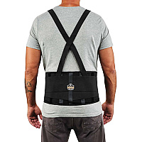 Ergodyne ProFlex 100 Economy Back Support Brace 30" to 34" Waist Size - Black - 280D Spandex, Rubber, Polypropylene - 1 Each (11383)