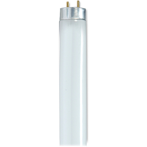 Satco 28-watt 48" T8 Fluorescent Tube 28 W - T8 Size - Cool White Light Color - G13 Base - 24000 Hour - 4100&deg;K Color Temperature - 85 CRI - 30 / Carton (S8424)