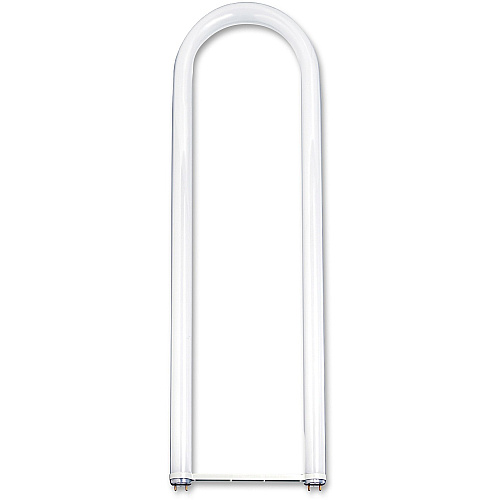 Satco T8 U-Bent 32-watt Fluorescent Bulbs 32 W - 120 V AC - 3000 lm - T8 Size - Cool White Light Color - 20000 Hour - 4100&deg;K Color Temperature - 75 CRI - 6 / Carton (S8448)